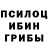 Псилоцибиновые грибы Cubensis ssstupid_d