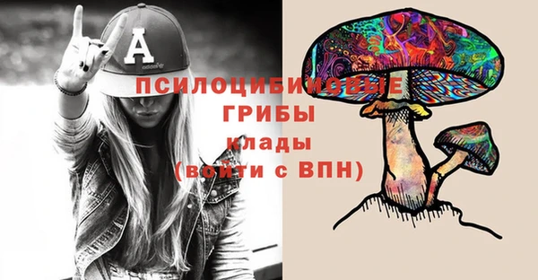 прущий лед Алзамай