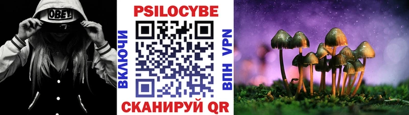 Галлюциногенные грибы прущие грибы  Заводоуковск 