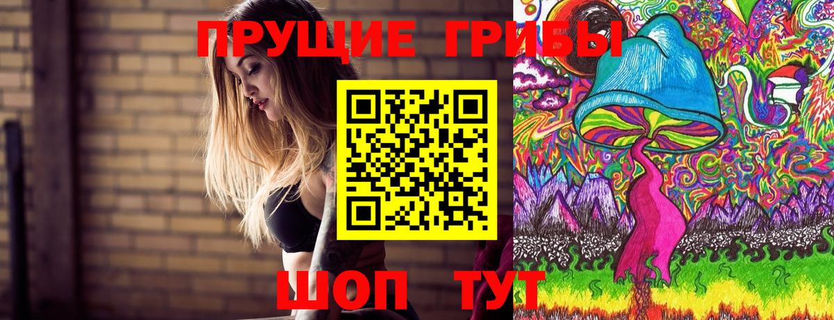 Заводоуковск  Галлюциногенные грибы GOLDEN TEACHER  Вход с VPN 